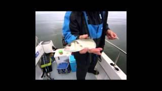 Bass Fishing Video - By Dave Barham Fishing