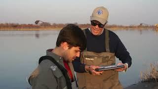 eDNA sampling - the lost Syr Darya shovelnose. Syr Darya river near Yangi Chinaz 12.03.2025