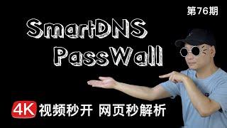 网页秒解析，4K视频秒开！合理运用SmartDNS+PassWall，让你VPN解析速度起飞。科学上网始终快人一步！（关联翻墙高速节点/视频秒开/DNS服务器）