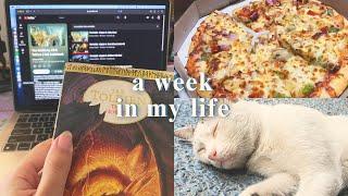 celebrating my 5th youtube anniversary, journaling, reading updates • productive vlog