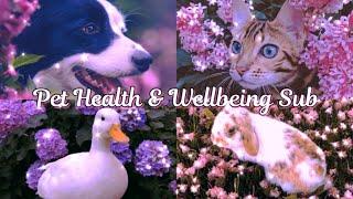 Pet Health & Wellbeing Subliminal | Happy and Healthy pets 