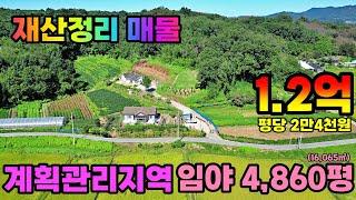 (NO.8391) #재산정리매물 #계획관리지역 남향받이 임야 4,860평 (16,065㎡) 매매