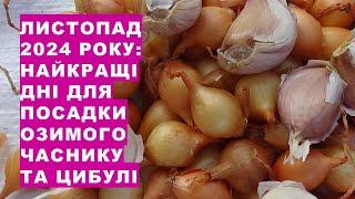 Листопад 2024: найкращі дні для посадки озимих часнику та цибулі