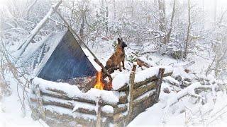 Caught in a Storm - Winter Camping in a Snowstorm with My Dog - Bushcraft Trip - Survival