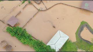 The Largest Flood In Many Years At Elephant Nature Park - ElephantNews