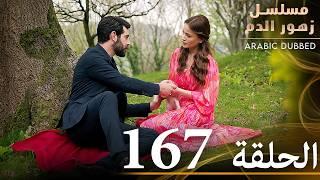 الحلقة 167 | مسلسل زهور الدم | مدبلج بالعربية | Kan Çiçekleri