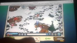 Animal jam