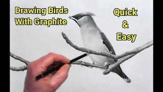 Drawing For Beginners, Keeping it Quick, Easy & Realistic