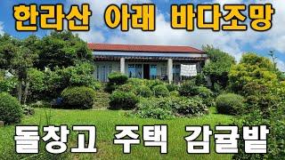 제주도 돌창고,주택,넓은토지 매매 제주도전문부동산 -올레길TV-