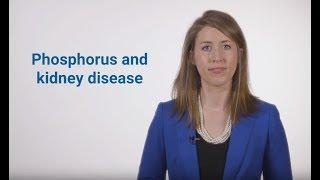 Phosphorus and kidney disease - American Kidney Fund