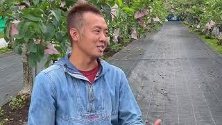 Interview with Tokyo Urban Farmer Yuki Utsumi