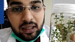 Plant Tissue culture Laboratory -Instruments and their principles with their applications