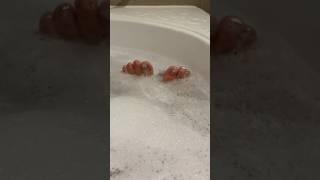 제주여행  기념품 사오지마, 재주좋은 제주에서 입욕제 사요 제발