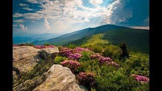 Hiking In Asheville With Some New Friends!