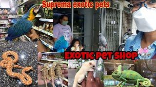 Exotic pet shop Johor Bahru | Weekend Vlog