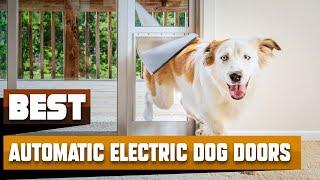 Automatic Electric Dog Door : Can I Try Once from here?