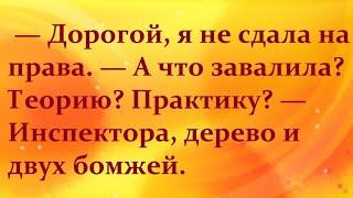 Упадёте со стула | Лучшие анекдоты 2024 года