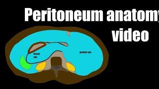 Peritoneum anatomy video