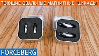 Поющие овальные магниты-цикады Forceberg