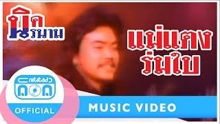 แม่แตงร่มใบ - นิรนาม [Official Music Video]