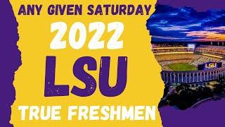 LSU Football True Freshmen + Matt Moscona, After Further Review, LSU Tigers, Transfer Portal