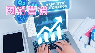 在美国做网络营销的四种方法？|营销策略Marketing Strategy:Internet Marketing