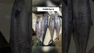 Cheapest Fish Market in Mumbai  