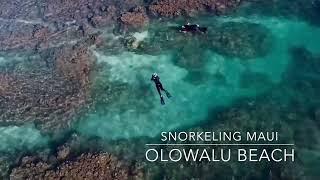 Olowalu Beach drone shot and snorkeling, Maui