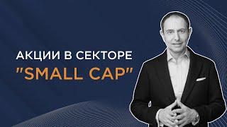 Что стоит знать об акциях в секторе "small cap"?