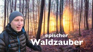 Extrem seltene Lichtmomente: Naturfotografie im Winternebel mit der Sony ZV-1