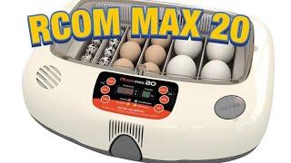 We Got a R-Com Max 20 Incubator