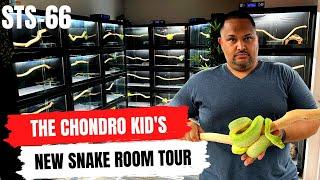 The Chondro Kid's New Snake Room Tour | Green Tree Pythons | Boelens Python | STS-66