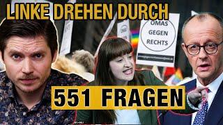 551 FRAGEN über NGO's - LINKE drehen durch | MERZ will es jetzt wissen