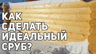 Как сделать сруб для бани? Обзор срубов на производстве в г. Вологда!