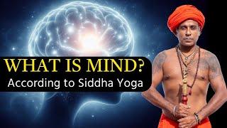 What is mind according to Siddha Yoga | Guru Pashupati Explains