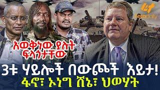 Ethiopia - 3ቱ ሃይሎች በውጮች  እይታ! ፋኖ፣ ኦነግ ሸኔ፣ ህወሃት