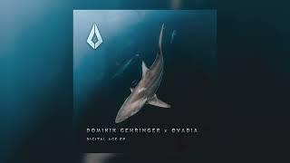 Dominik Gehringer - Dance with Me