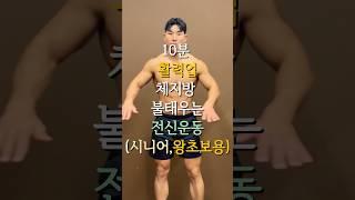 10분 활력업 체지방 불태우는 전신운동(시니어,왕초보용)#시니어운동#시니어#시니어홈트#홈트레이닝 #집운동 #전신운동 #활력#왕초보운동 #왕초보홈트
