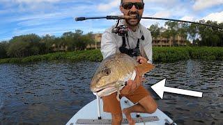 Tampa Fishing- Snook, Tarpon, Redfish