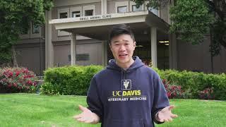 UC Davis School of Veterinary Medicine Virtual Tour