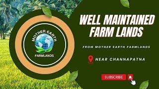 Sustainable Agriculture: Exploring Managed Farmlands for a Greener Tomorrow | #managedfarmlands