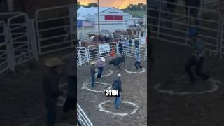 Притворился Камнем Чтобы Выиграть Деньги