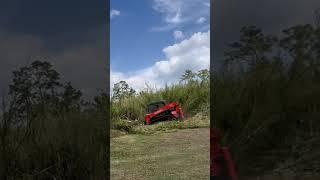 This Land Clearing Job Made $1200 in 5 Hours