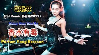 胡杨林 - 香水有毒 (DJ抖音版) Xiang Shui You Du【Parfum Yang Beracun/Perfume is Poisonous】- Terjemahan Indonesia