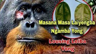 Masa Mathanta Laiyengba Ngamba Yong|| Lousing Leiba Yong||World Facts Story