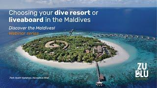 Choosing your dive resort or liveaboard in the Maldives