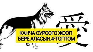 Канча суроого жооп бере аласын.4-топтомТестваша личностьЭрудицияпройти тест