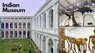 Indian Museum Kolkata | Indian Museum Kolkata Tour | India’s Largest and Oldest Museum | 4K