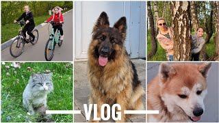 ДОМАШНИЙ VLOG снимаем вместе с дочкой / ГУЛЯЕМ, ОТДЫХАЕМ, играем с ЖИВОТНЫМИ / СБОРЫ в ОТПУСК