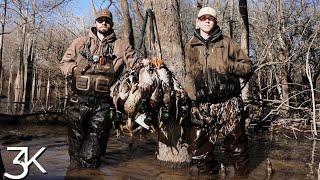 Arkansas Public Land  |  Low Water Ducks